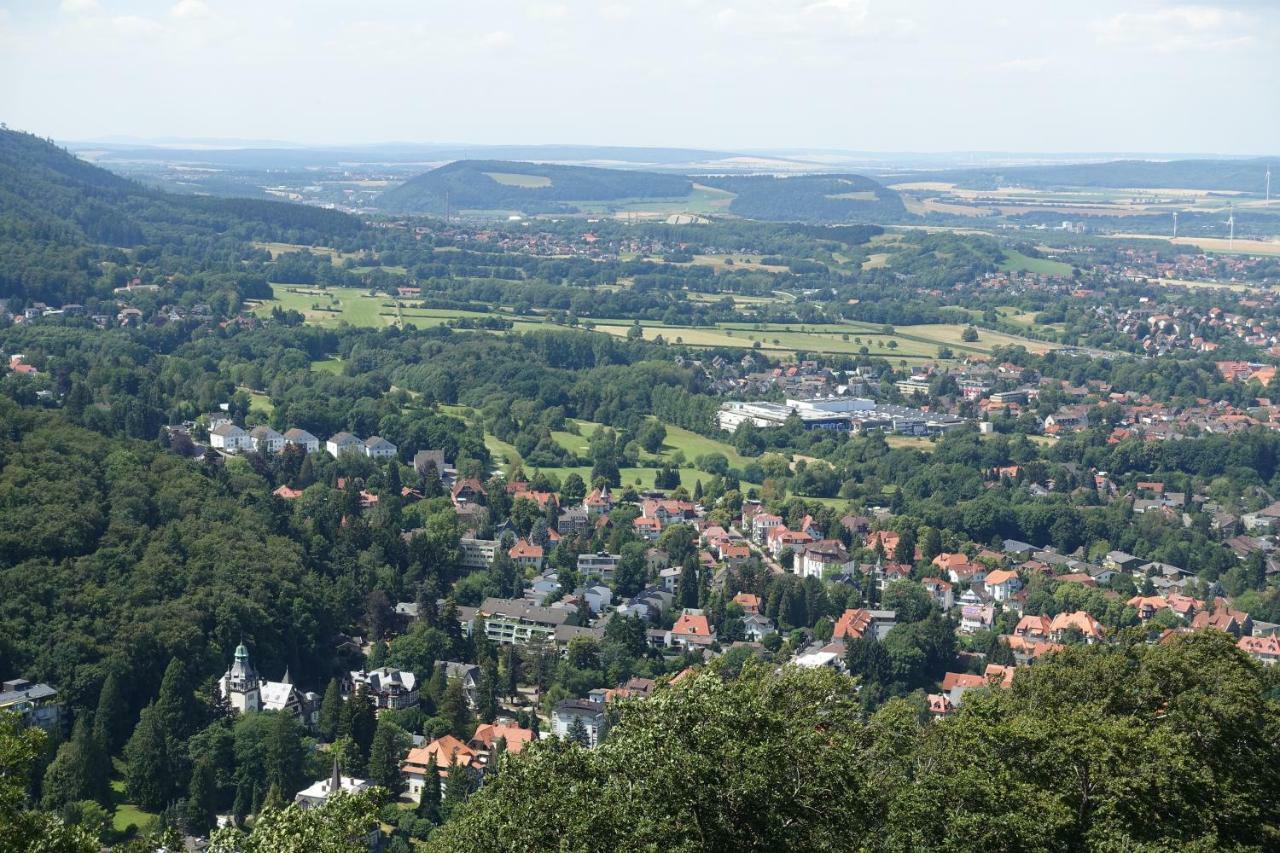 Ferienwohnung Ohanna Bad Harzburg Bagian luar foto
